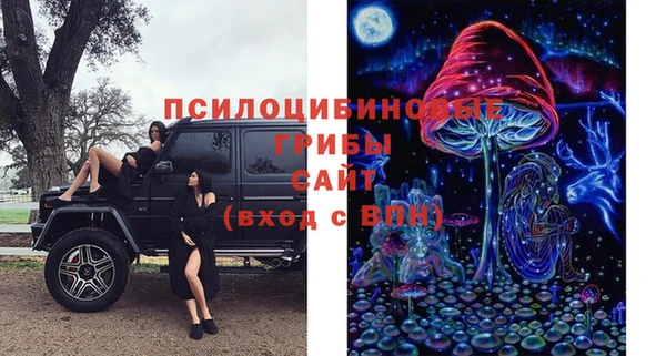 не бодяженный Магас