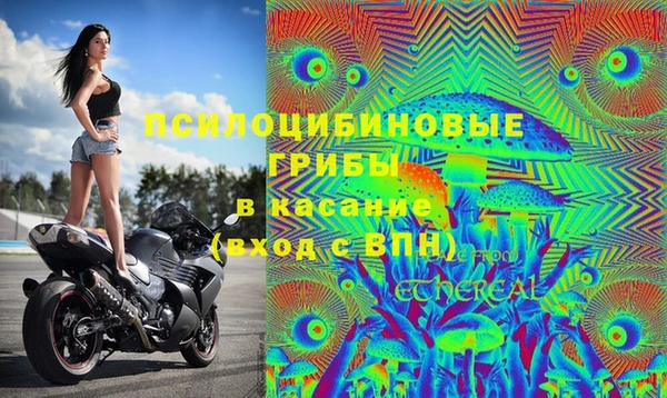 амф Магадан