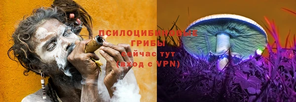 не бодяженный Магас